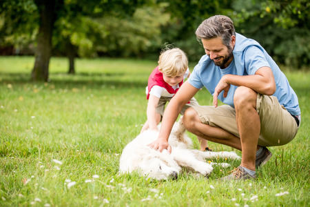 Father and son pet Retriever dog in summer in their gardenの写真素材