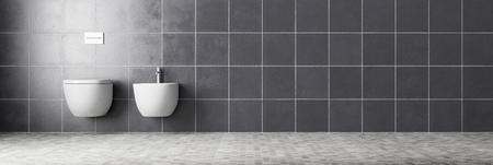 Panorama of WC and bidet on tiled wall in a bathroom (3D Rendering)の写真素材