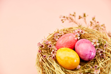 Three colorful easter eggs in the nest as easter header background