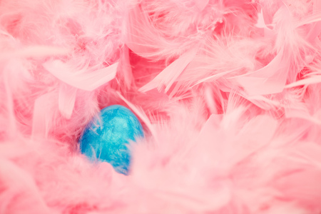 Blue easter egg lies at Easter in a nest of pink feathersの写真素材