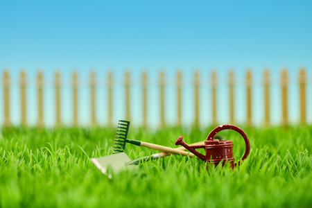 Gardening tool in the garden on a green meadow in front of fenceの写真素材