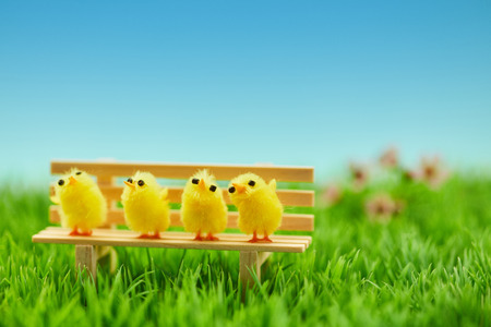 Cute chick family on bench as easter background decorationの写真素材