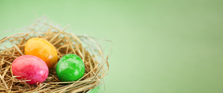 Three colorful Easter eggs in the nest for Easter as a panorama headerの写真素材