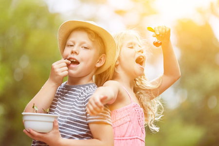 Two children eat fresh cherries in the summer gardenの写真素材