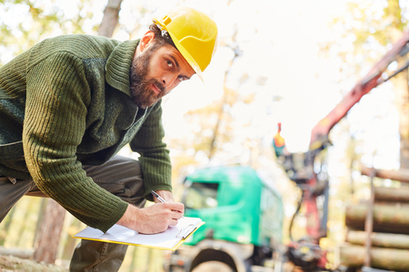 Forest worker with checklist when loading long logs after harvesting