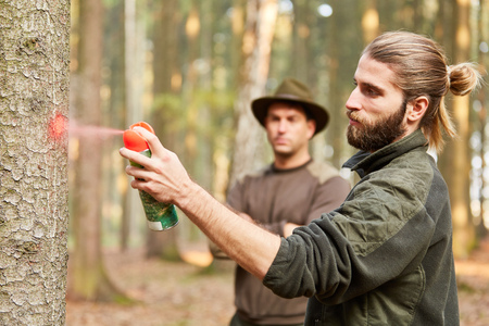 Forester and forester mark tree with a red spray can in the forestの写真素材