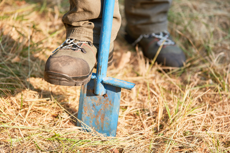 Forestry or forest worker digging with the spade for reforestationの写真素材