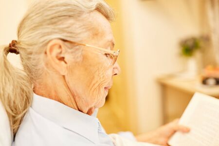 Senior woman reading concentrated in a novel in her senior citizen apartmentの写真素材