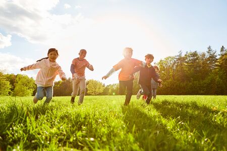 Children run and play on a meadow in summer on a children's birthday partyの写真素材