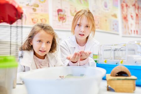 Two girls as students with little mice in biology lessonの写真素材