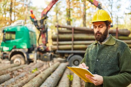 Forestry or forest worker with checklist when loading long logs