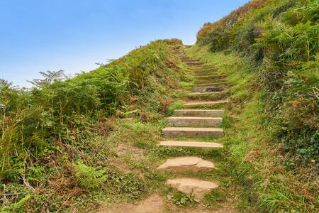 Old stone staircase leads upwards in nature