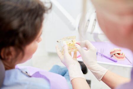 Dental assistant shows on a denture model the right brushing with the interdental brushの写真素材