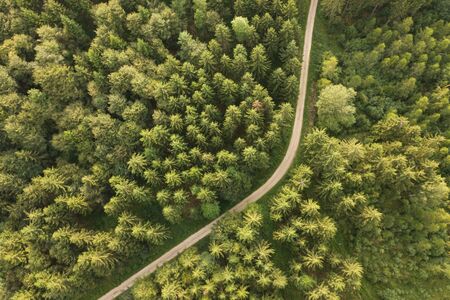 Top view of dirt track through forest in summer
