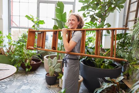 Young man as gardener or florist with ladder between green plants