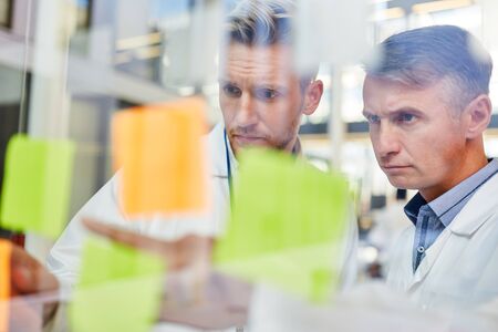 Two doctors analyzing project ideas on sticky notes in brainstorming workshop