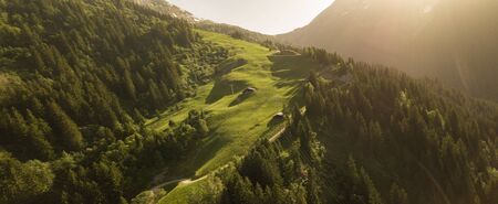 Slope through forest on mountain in French Alps in summer eveningの写真素材