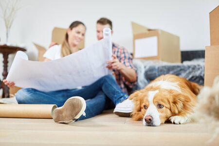 Young couple with dog and drawing plans the house construction before the move