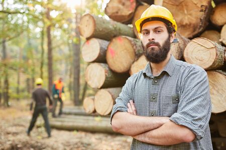 Forest worker or forestry worker loading long logs onto the long timber cart