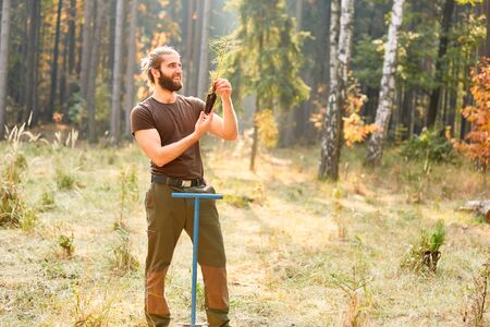 Young forestry or forester plants a pine seedling for forest afforestation