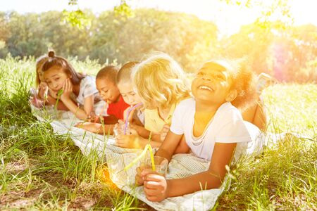Happy group of children lies in the summer in nature on a meadowの写真素材