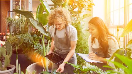 Young man makes training to florist in flower shop beside examiner