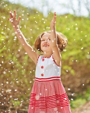 Laughing happy child catches cherry blossoms in the spring in the parkの写真素材
