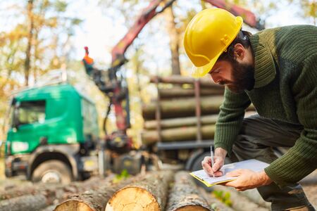 Forstwirt at Holzernte controls the loading of long timber with checklist
