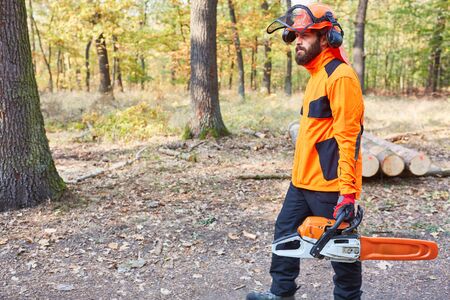 A man as a woodcutter and forest worker with chainsaw at the tree fellの写真素材