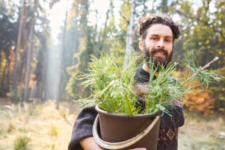 Forest worker with a bucket full of pine seedlings for reforestation in the forest
