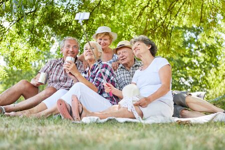 Group of seniors and pensioners in the summer park is taking a selfie with the selfie stickの写真素材