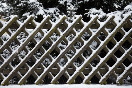 A snowy hunter fence in front of fir trees in winterの写真素材