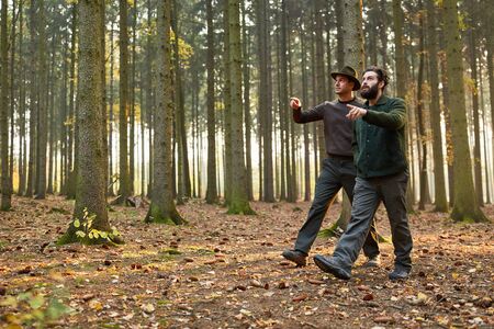 Two foresters jointly control the trees on a tour