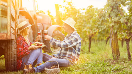 Couple having a romantic picnic with wine tasting in the vineyard in autumnの写真素材