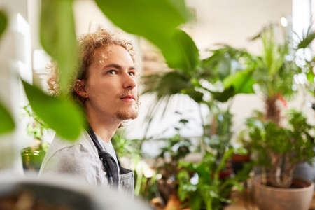 Young man as a gardener trainee or florist with many green plantsの写真素材