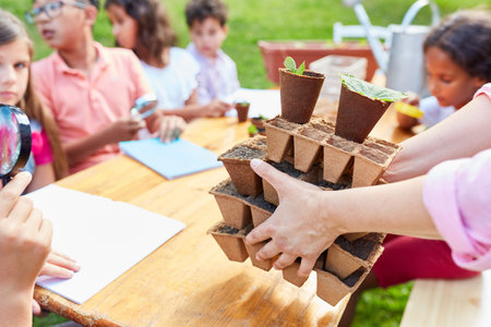 Children learn about botany and cultivation in the biology workshop in the summer camp