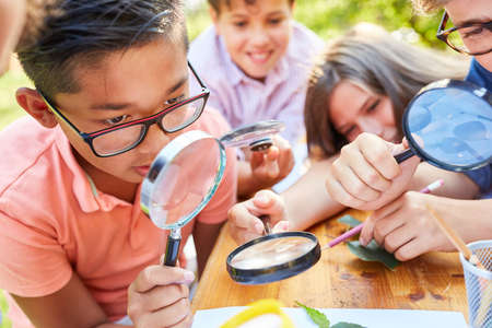 Children in ecological holiday course curiously look at leaf through magnifying glass at summer camp