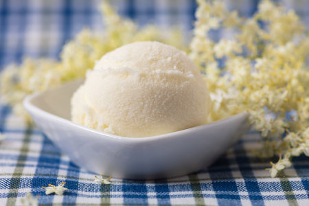 Fresh elderflower ice cream scoop with fresh elderflowerの写真素材