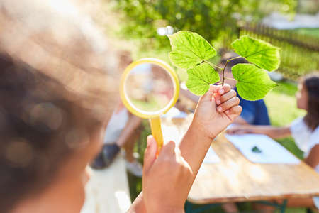 Children look at leaves through a magnifying glass in the nature conservation project in the summer...