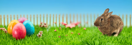 Colorful Easter eggs on meadow in the garden at Easter as a panorama header