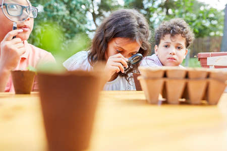 Group of children with magnifying glass learns about plants and biology in the ecological holiday campの写真素材