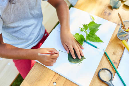 Children draw plants and do handicrafts in the creative biology holiday course at summer campの写真素材