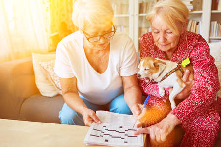 Two seniors with dog solve crossword puzzles at home as memory training against dementiaの写真素材