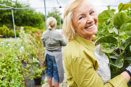 Happy senior woman as a gardener in the plantation of the nursery caring for the plantsの写真素材