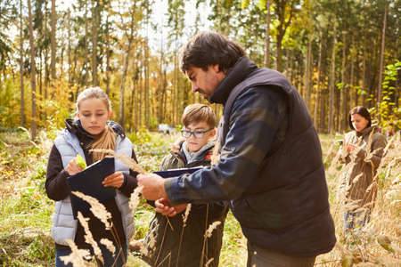 Forester and two children in tree science lessons in the forest as a natural history exam
