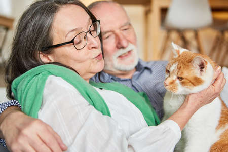 Couple of seniors sitting relaxed on the sofa together with their trusting pet catの写真素材