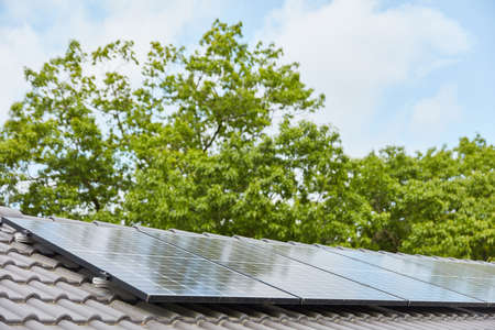 Solar system on roof of house in front of a green tree as renewable energy concept