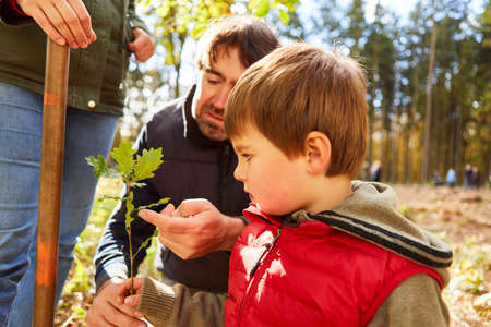 During a guided tour of the forest, FÃ¶rster shows the leaves of an oak tree to the day-care...