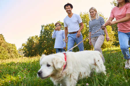 Family and two children walking their retriever dog on a meadow in summerの写真素材