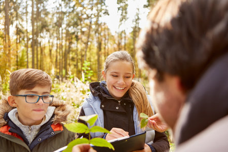 Children learn tree science from the forester and look at leaves on forest school daysの写真素材